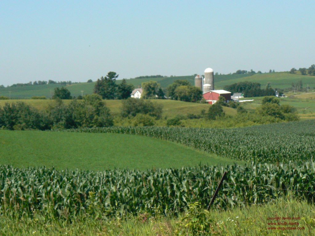 Dairy Farm in the Bears Grass Valley