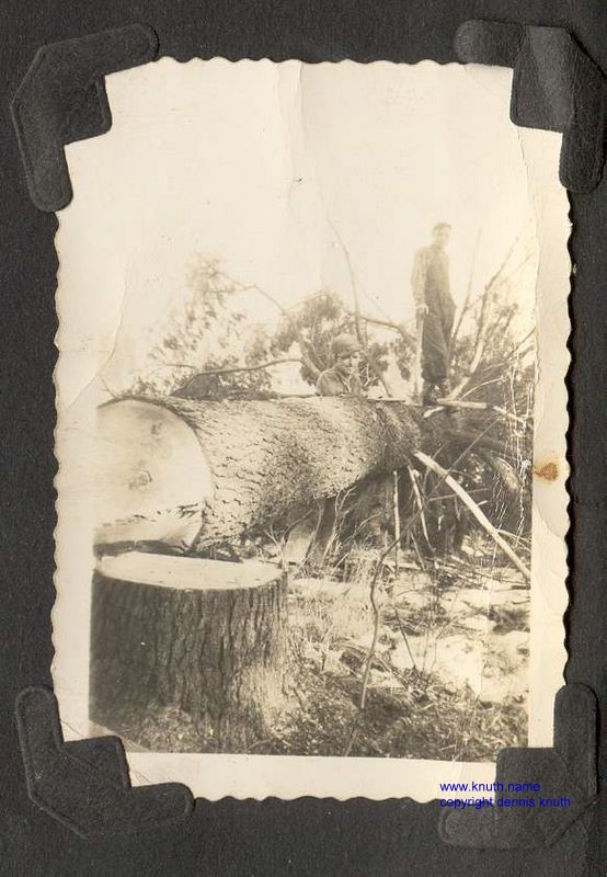 Logging Knuth Photo